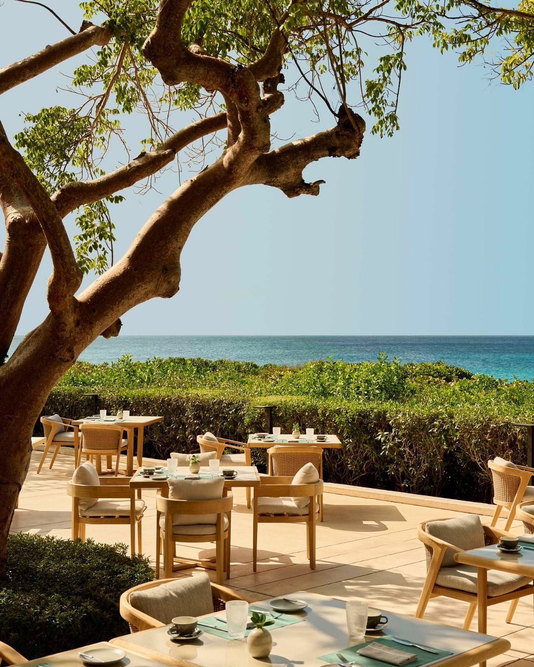 Timeshare owner with clarity and confidence